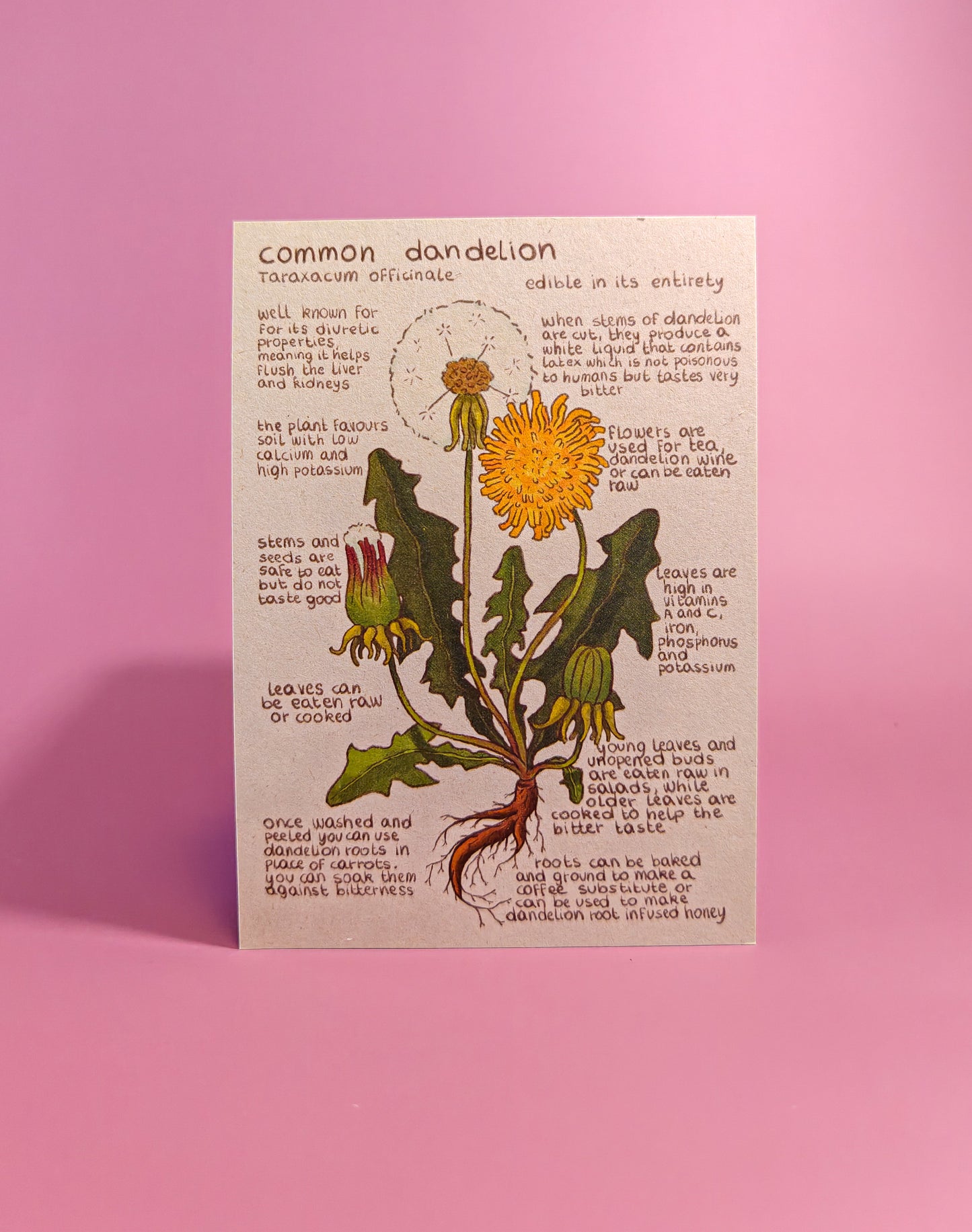 Ansichtkaarten - Eetbarenbloemen