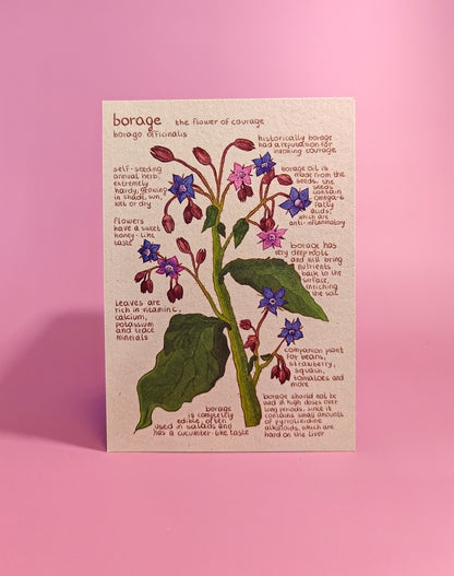 Ansichtkaarten - Eetbarenbloemen