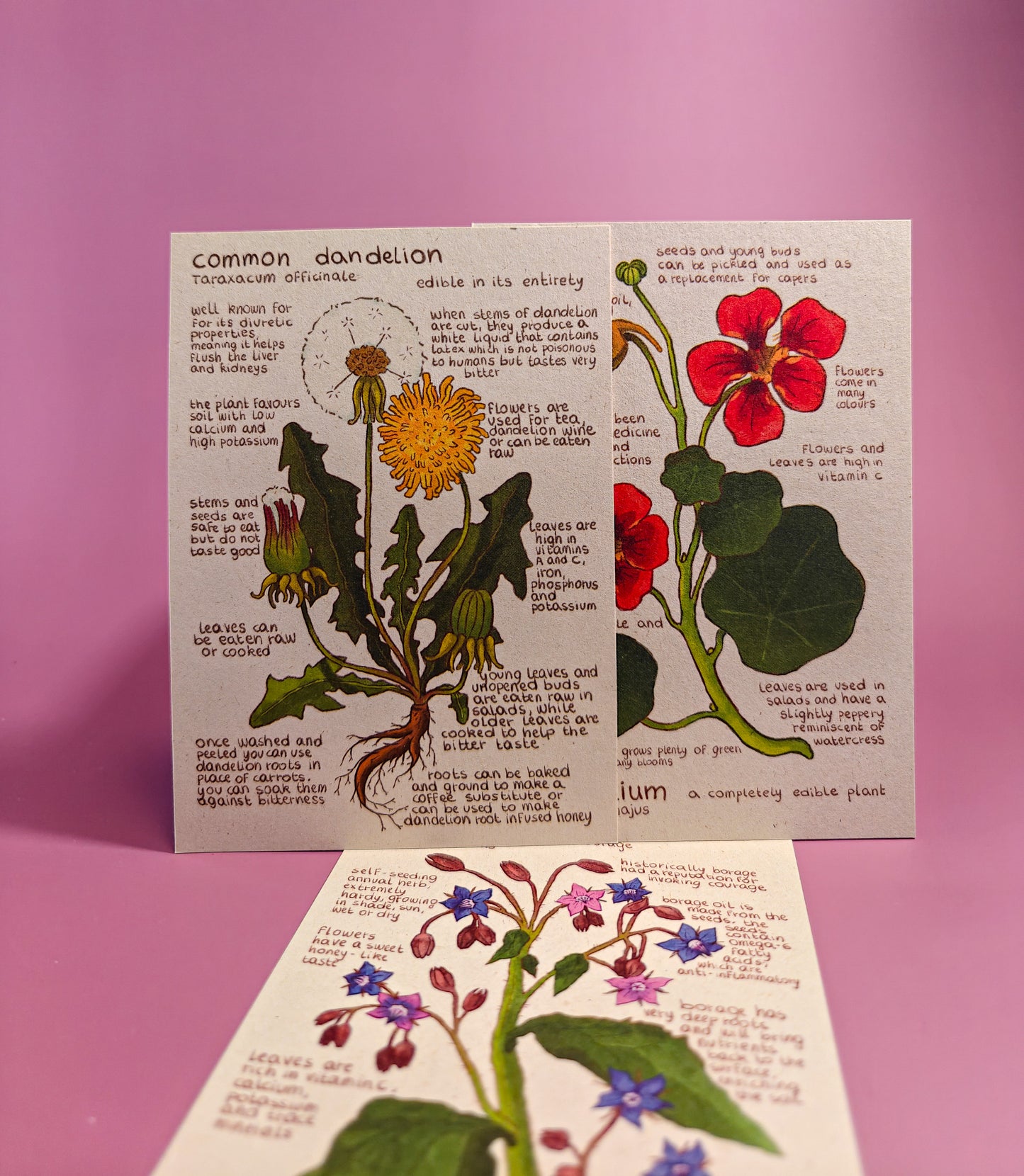 Ansichtkaarten - Eetbarenbloemen