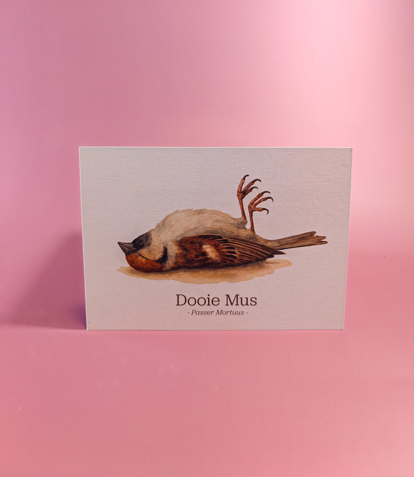 De Dooie Mus Ansichtkaart