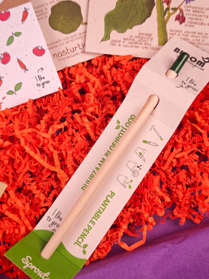Plantbaar potlood en groeikaarten op oranje opvulmateriaal, eco cadeau