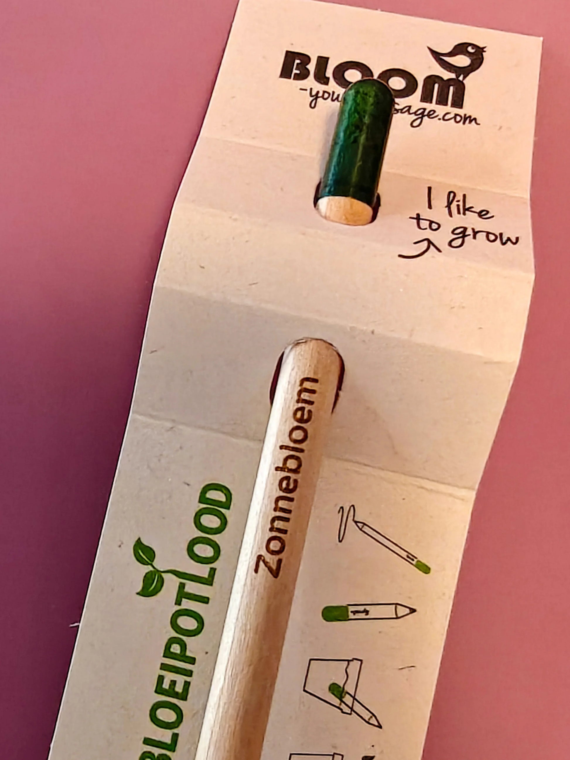 Bloeipotlood zonnebloem op kartonnen verpakking, duurzaam groeipotlood cadeau